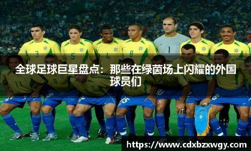 全球足球巨星盘点：那些在绿茵场上闪耀的外国球员们