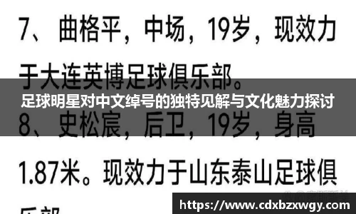 足球明星对中文绰号的独特见解与文化魅力探讨
