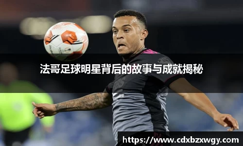 法哥足球明星背后的故事与成就揭秘